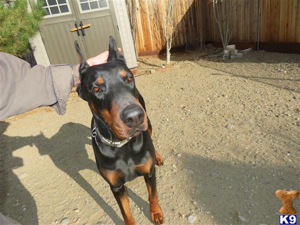 deedee1756 Picture 2